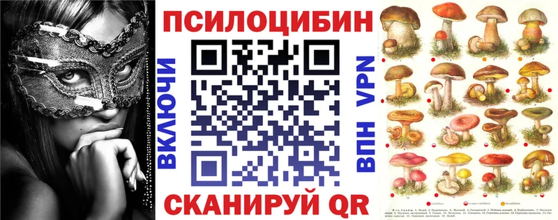мега ссылки  Ворсма  Псилоцибиновые грибы Psilocybine cubensis 